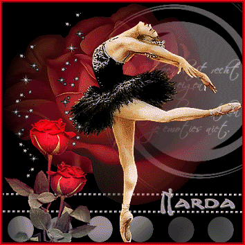 ballerina Pictures, Images and Photos