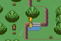 [PokeCommunity.com] Pokemon Turquoise: Aqua Egg