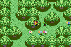 [PokeCommunity.com] Pokemon Turquoise: Aqua Egg